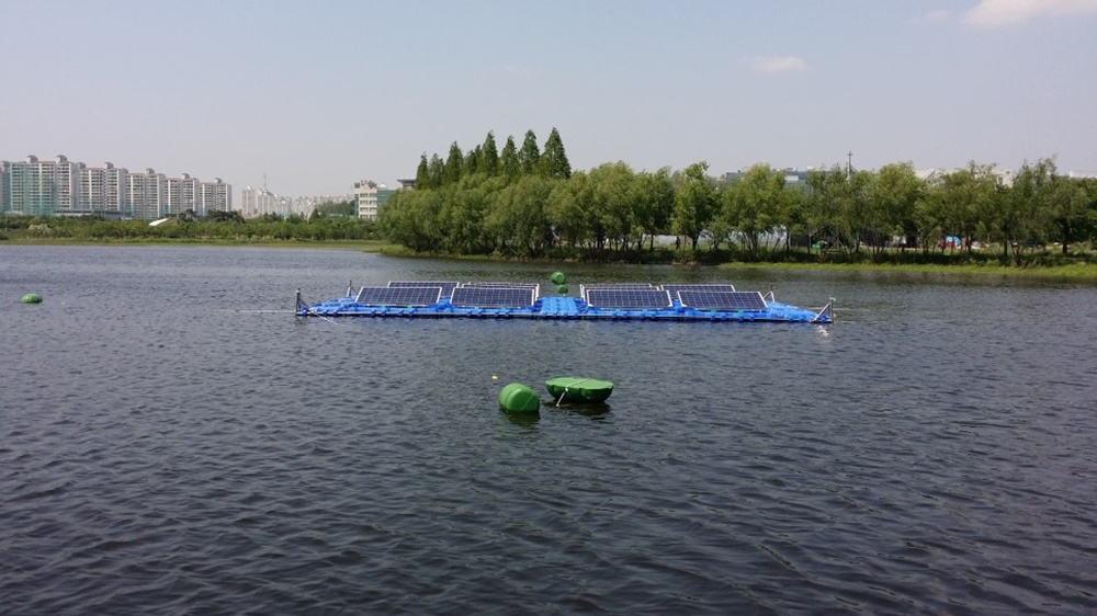 P1.jpg